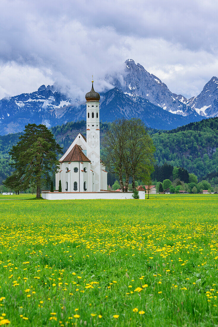 Kirche St. Coloman an der Romantischen Straße mit Gehrenspitze im Hintergrund, Ammergauer Alpen, Allgäu, Schwaben, Bayern, Deutschland
