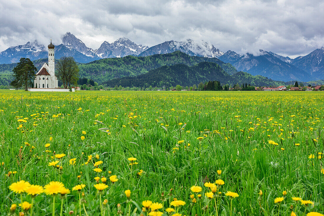 Church St. Coloman at Romantic Road with Gehrenspitze and Koellenspitze in background, Ammergau Alps, Allgaeu, Swabia, Bavaria, Germany