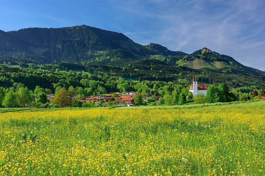 Meadow with flowers in front of Grainbach with Hochries, Karkopf and Feuchteck, Grainbach, Samerberg, Chiemgau Alps, Upper Bavaria, Bavaria, Germany