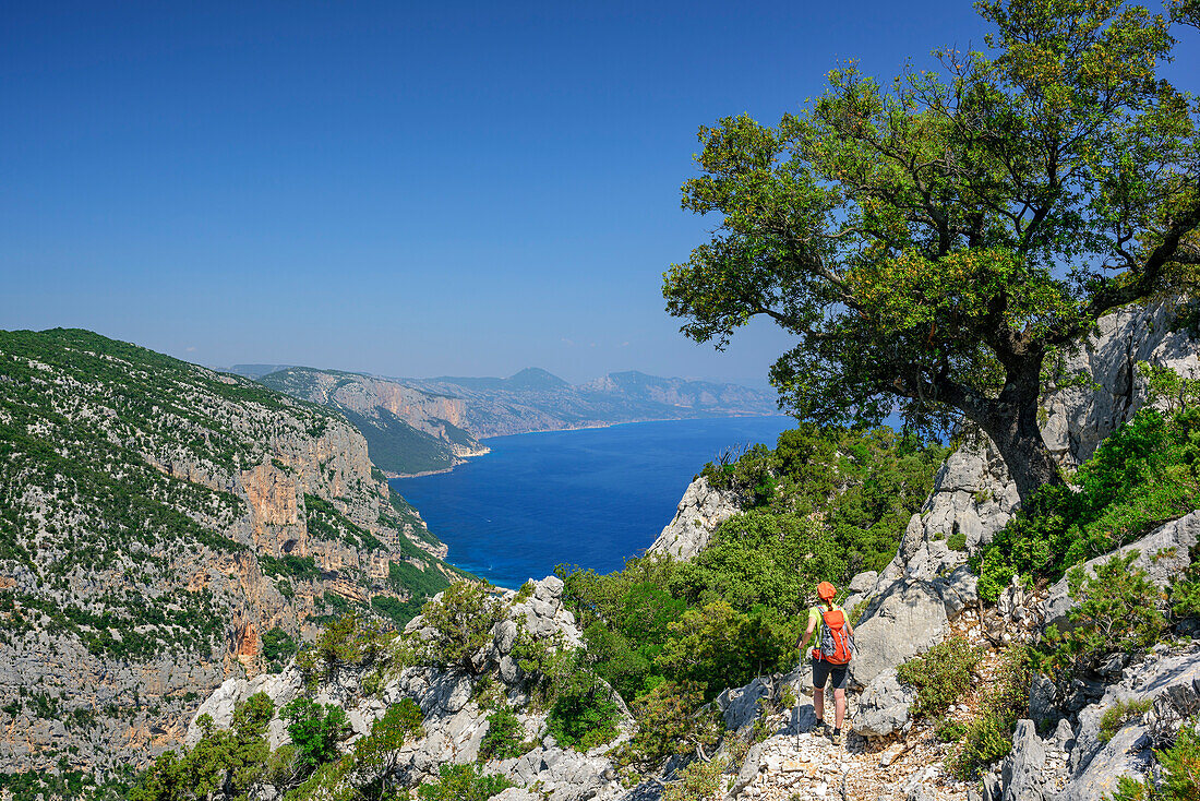 Woman hiking Selvaggio Blu towards Punta Salinas, view to Cala Goloritze at Mediterranean, Punta Salinas, Selvaggio Blu, National Park of the Bay of Orosei and Gennargentu, Sardinia, Italy