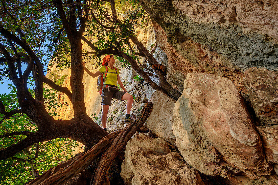 Frau klettert am Selvaggio Blu über Baumstämme zu Felswand, Selvaggio Blu, Nationalpark Golfo di Orosei e del Gennargentu, Sardinien, Italien
