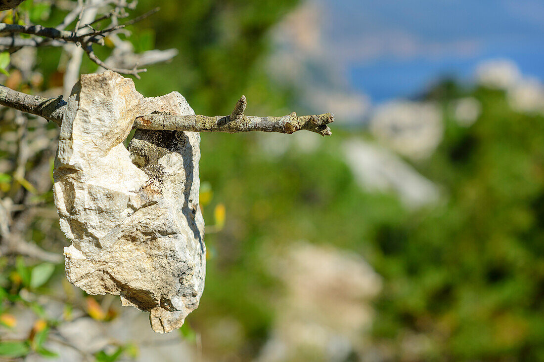 Stein hängt über Ast, Wegmarkierung, Selvaggio Blu, Nationalpark Golfo di Orosei e del Gennargentu, Sardinien, Italien