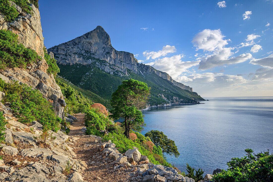 Path following coast, view towards Punta Giradili, Selvaggio Blu, National Park of the Bay of Orosei and Gennargentu, Sardinia, Italy