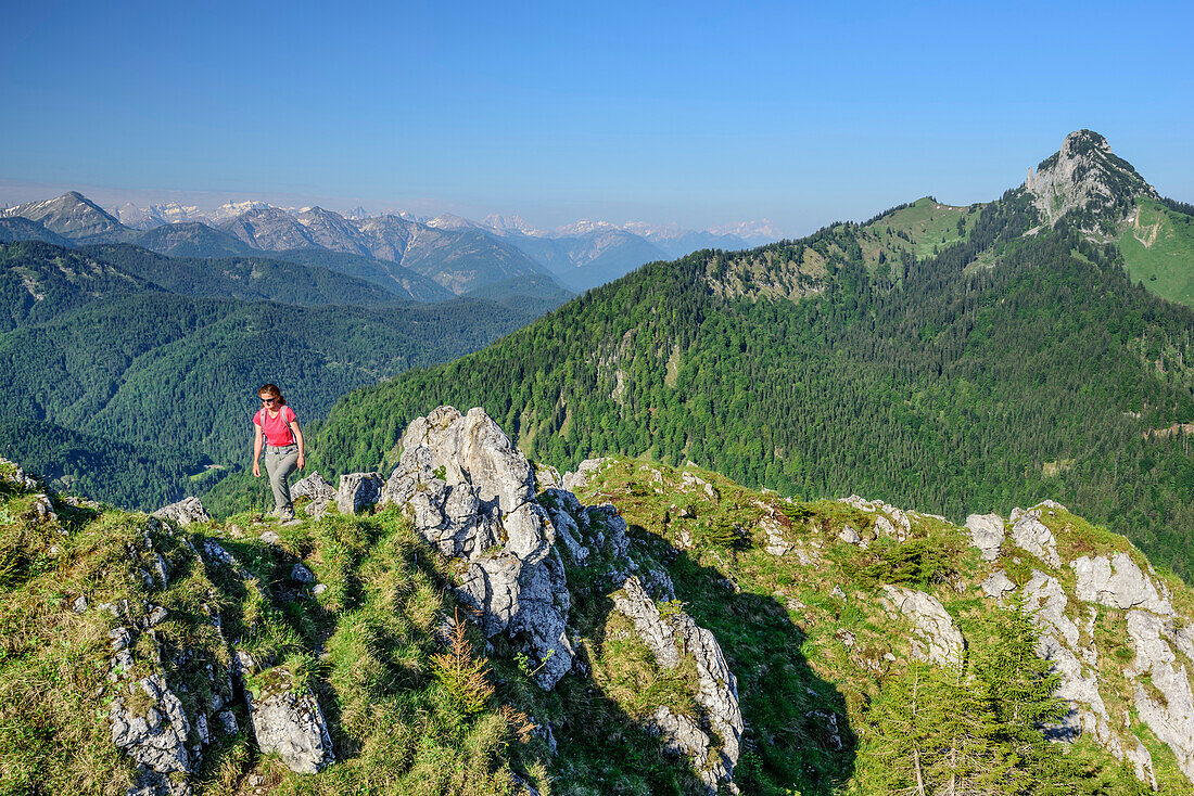 Frau steigt zum Leonhardstein auf, Blick auf Rossstein und Buchstein, Leonhardstein, Bayerische Alpen, Oberbayern, Bayern, Deutschland