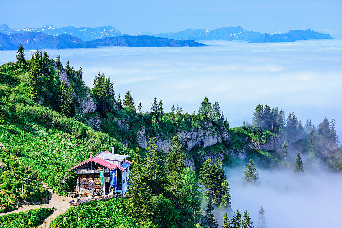 View to hut Staufner Haus at Hochgrat, Hochgrat, Nagelfluh range, Allgaeu Alps, Allgaeu, Svabia, Bavaria, Germany