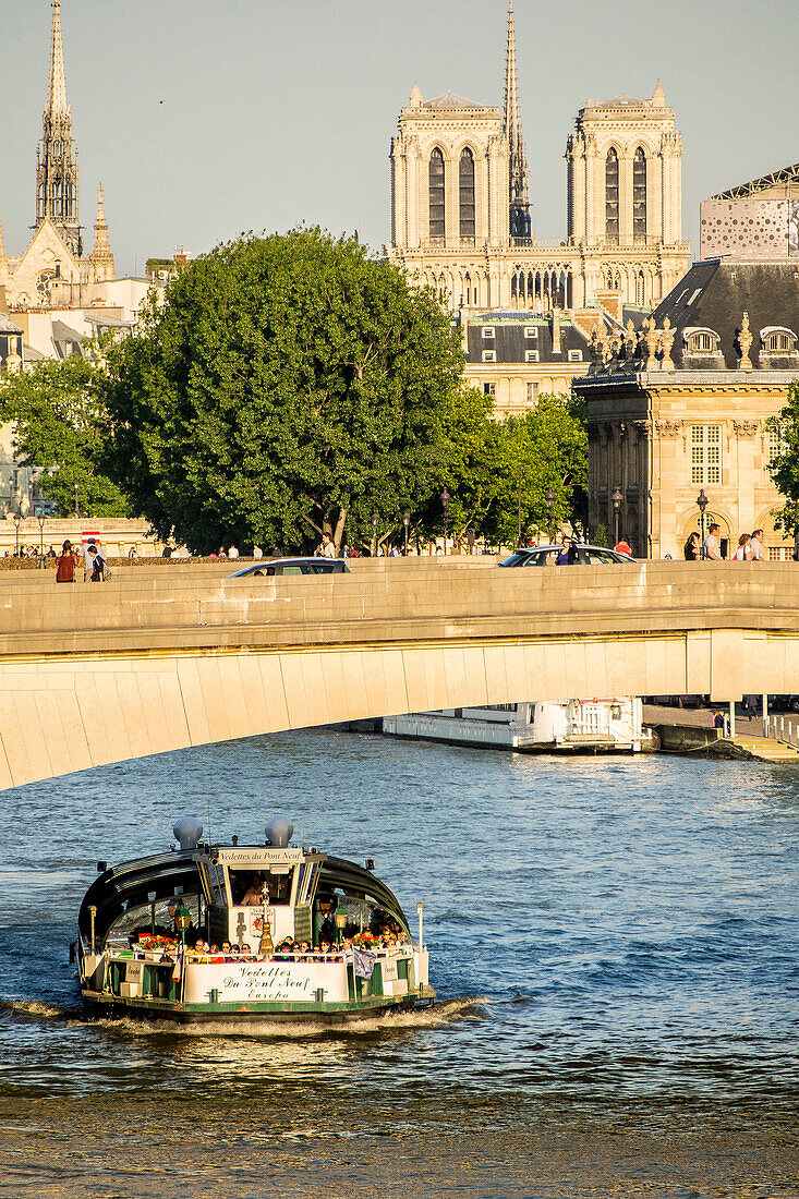 France, Paris, Carrousel bridge over the Seine, Notre Dame cathedral in background