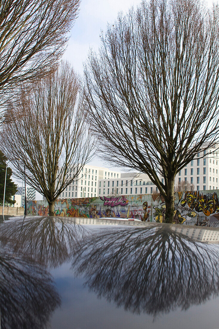 France, Nantes, 44, reflections of trees in the body of a car.