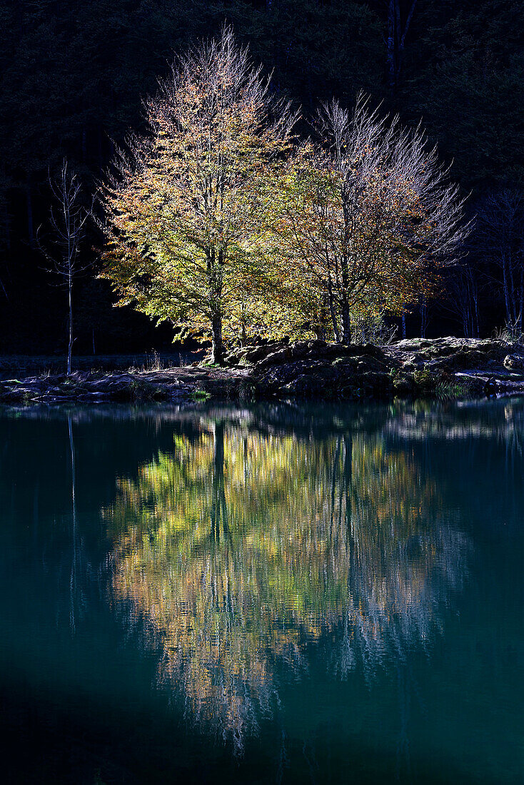 France, Midi Pyrenees, Ariege, Couserans, pond of Bethmale, autumn, trees, reflection