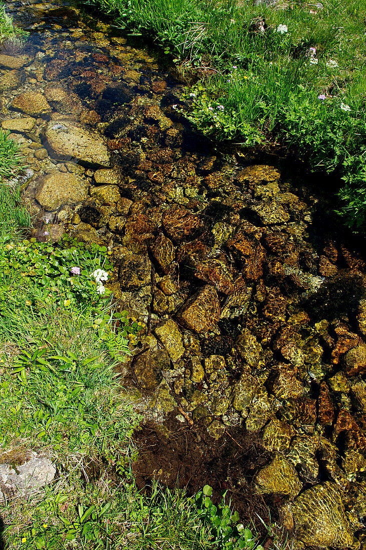 France, Midi Pyrenees, Ariege, Couserans, stream of Garbet