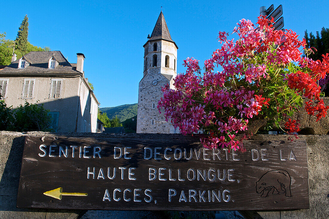 France, Midi Pyrenees, Ariege, Couserans, village of Saint Lary, valley of Bellongue