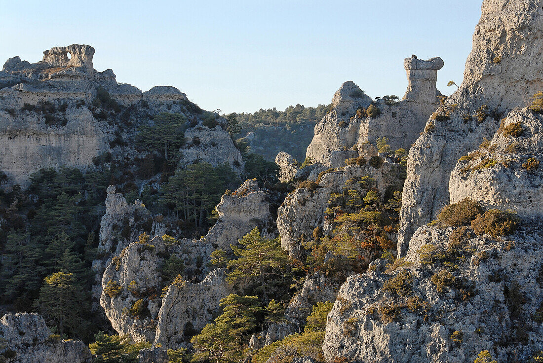 Europe, France, Aveyron, ruiniform chaos of the Old Montpellier on the Causse Noir.