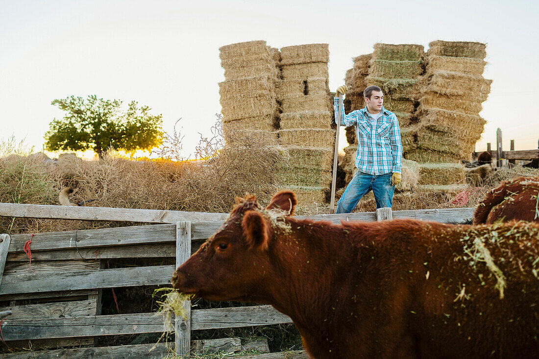 Caucasian man working on farm