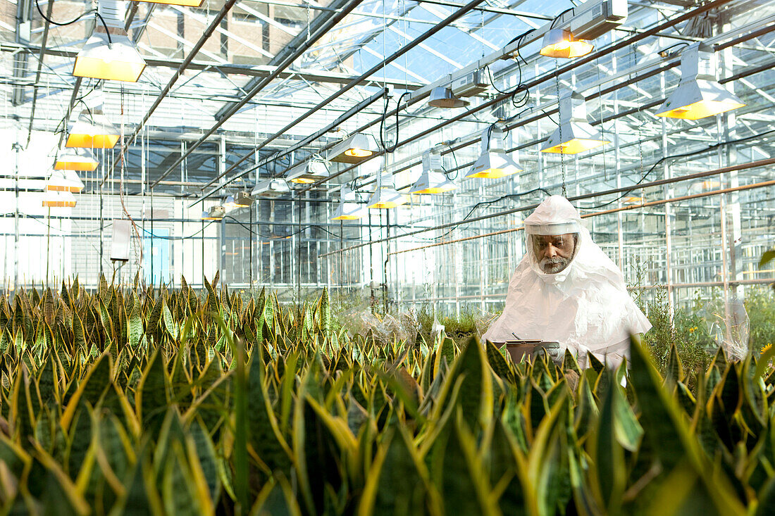 Scientist in clean suit working in greenhouse