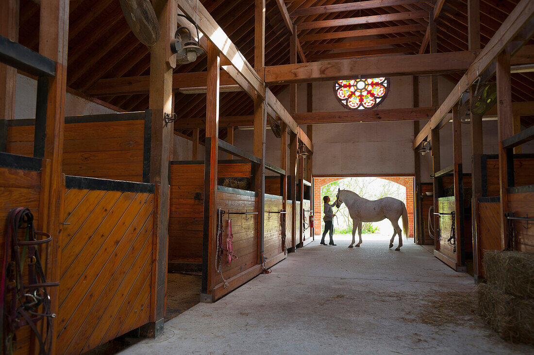 Caucasian girl walking horse in stable