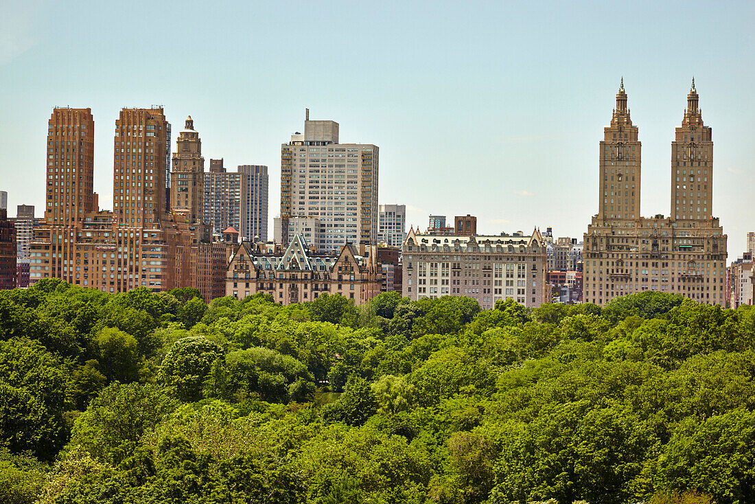 Skyline and tree tops, New York, New York, United States