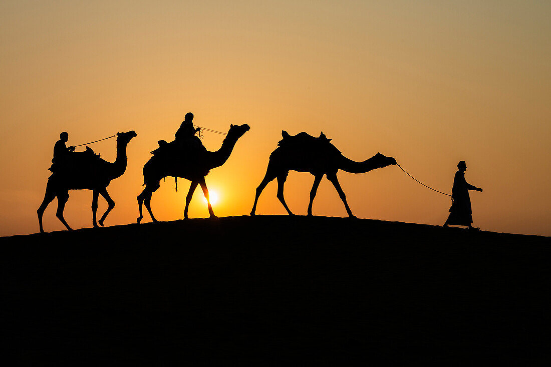 Silhouette of camels and drivers in Thar Desert, Jaisalmer, Rajasthan, India
