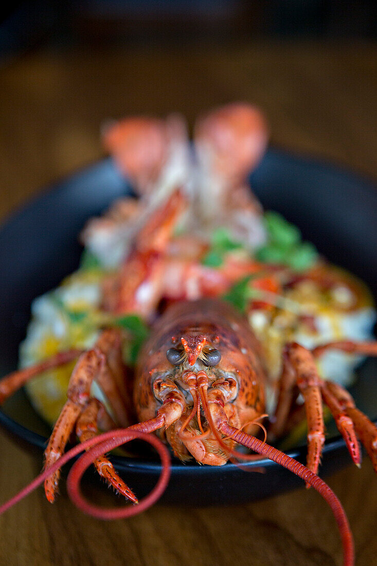 Lobster and Grits on Platter