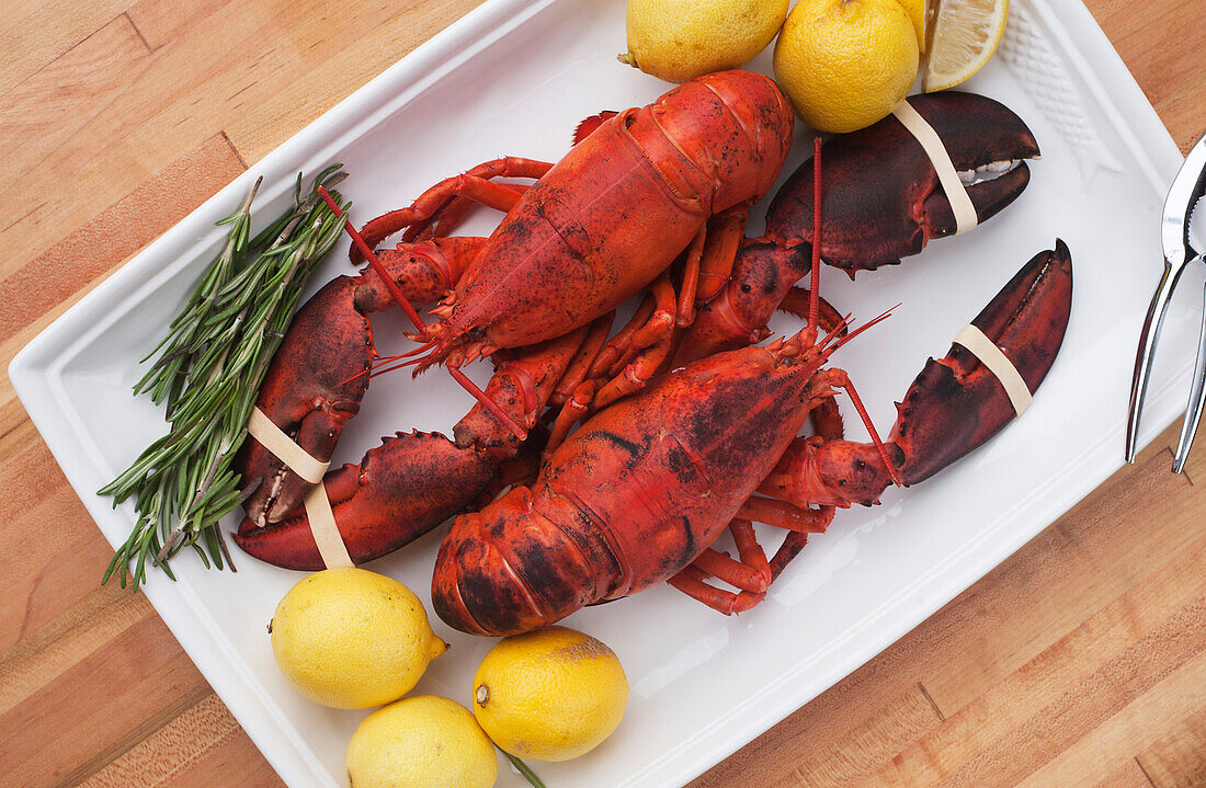 Cooked Lobsters on Platter with Lemons and Herbs, High Angle View