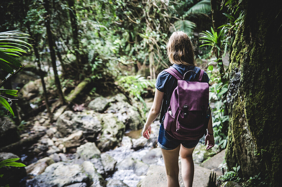 Young Woman with Backpack Walking Through El Yunque Rainforest, Puerto Rico