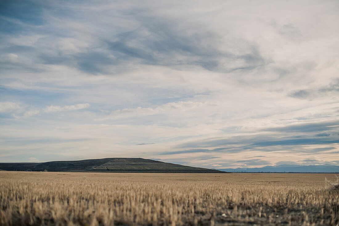 Field and Mountain Landscape, Colorado, USA