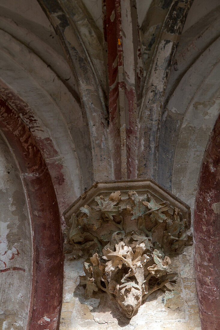 Walkenried abbey, cloister, gothic, Lower Saxony, Germany