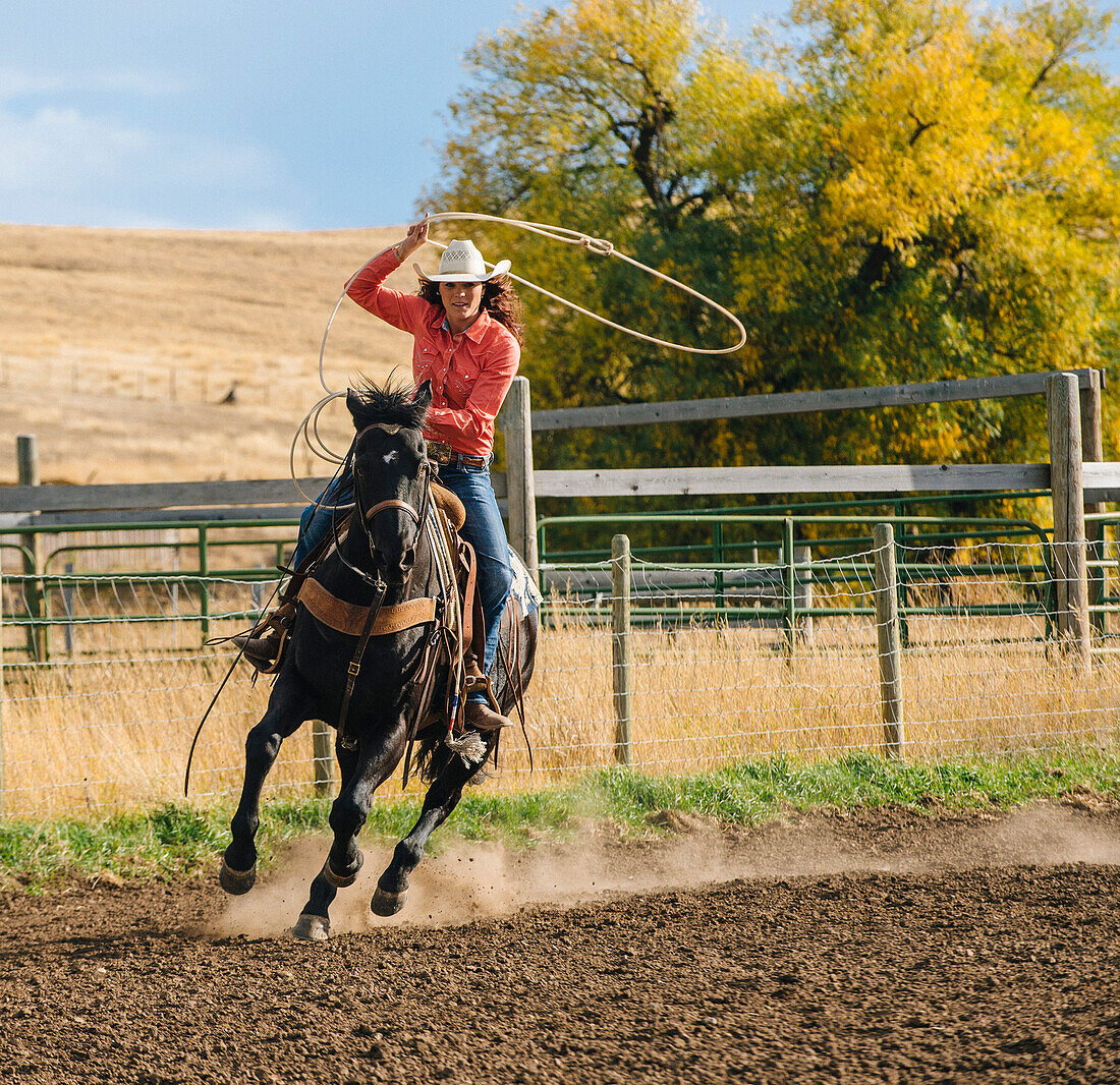 Caucasian woman using lasso on horse at rodeo, Jospeh, Oregon, USA