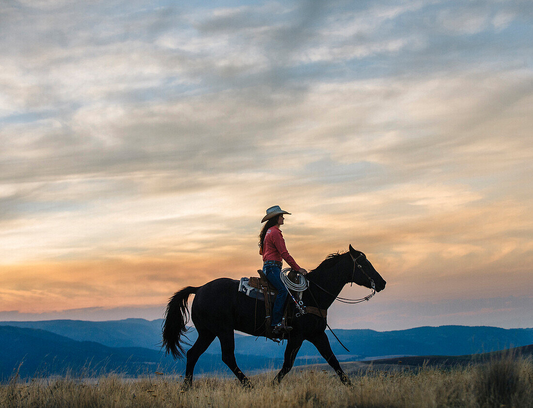 Caucasian woman riding horse in grassy field, Joseph, Oregon, USA