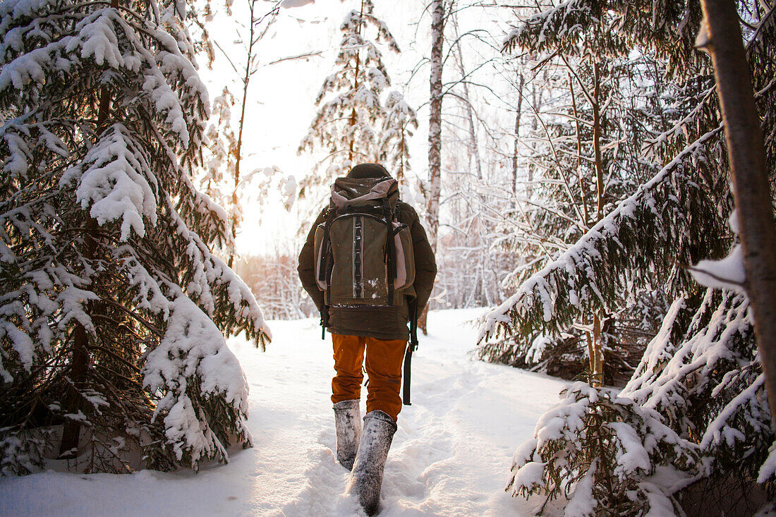 Mixed race man walking in snowy forest, C1