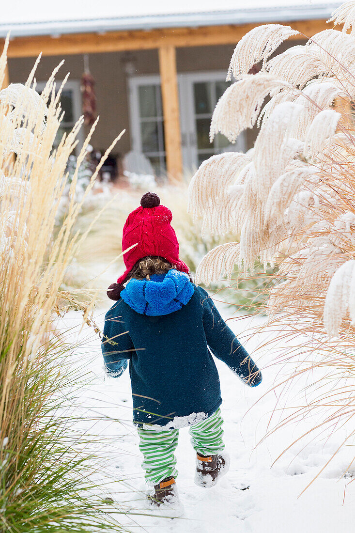 Caucasian baby boy walking in snowy garden, C1