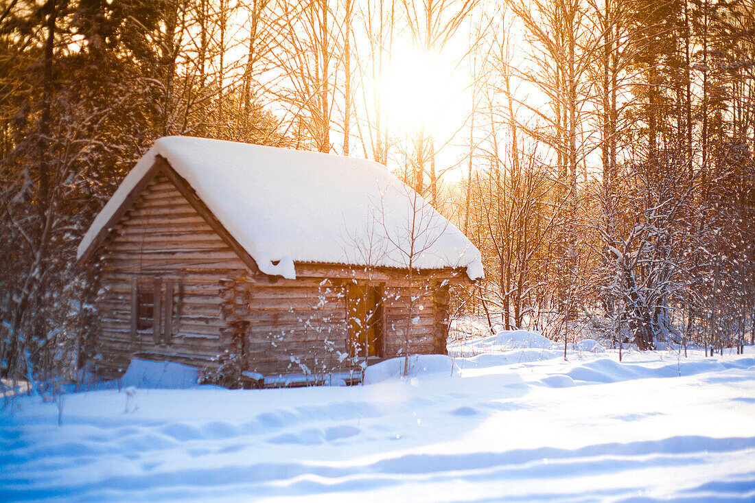 Log cabin in clearing in snowy forest, C1