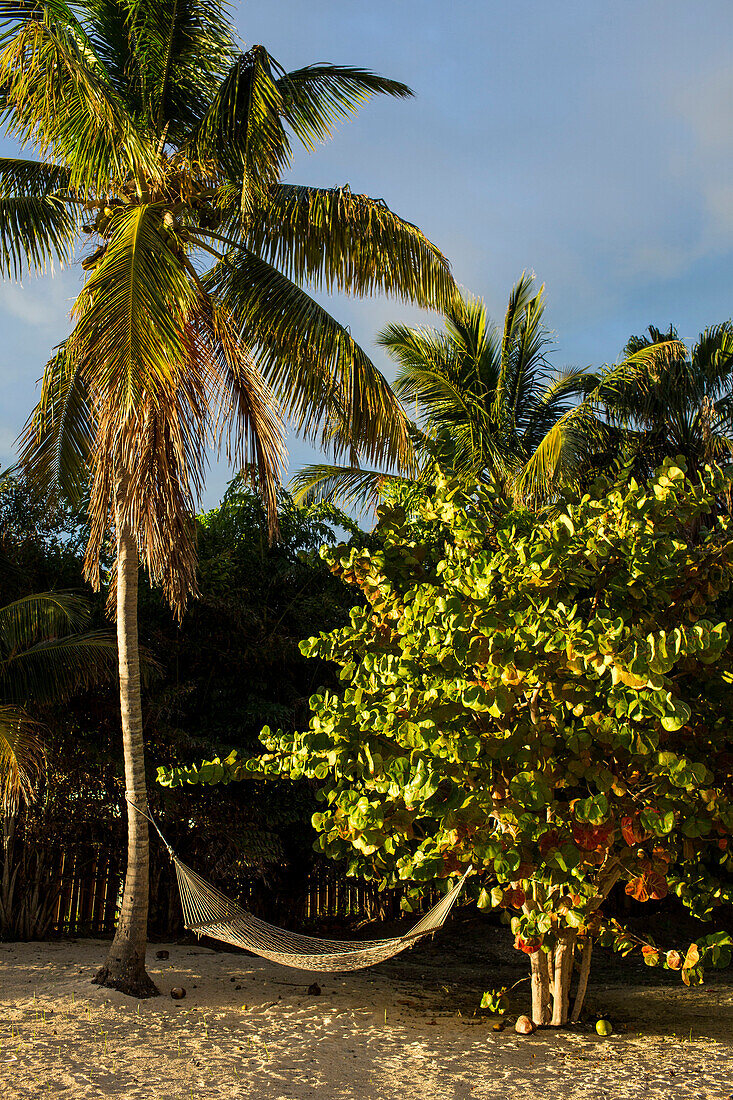Hammock hanging between palm trees on beach, Florida Keys - Big Pine Key, Flordia, United States