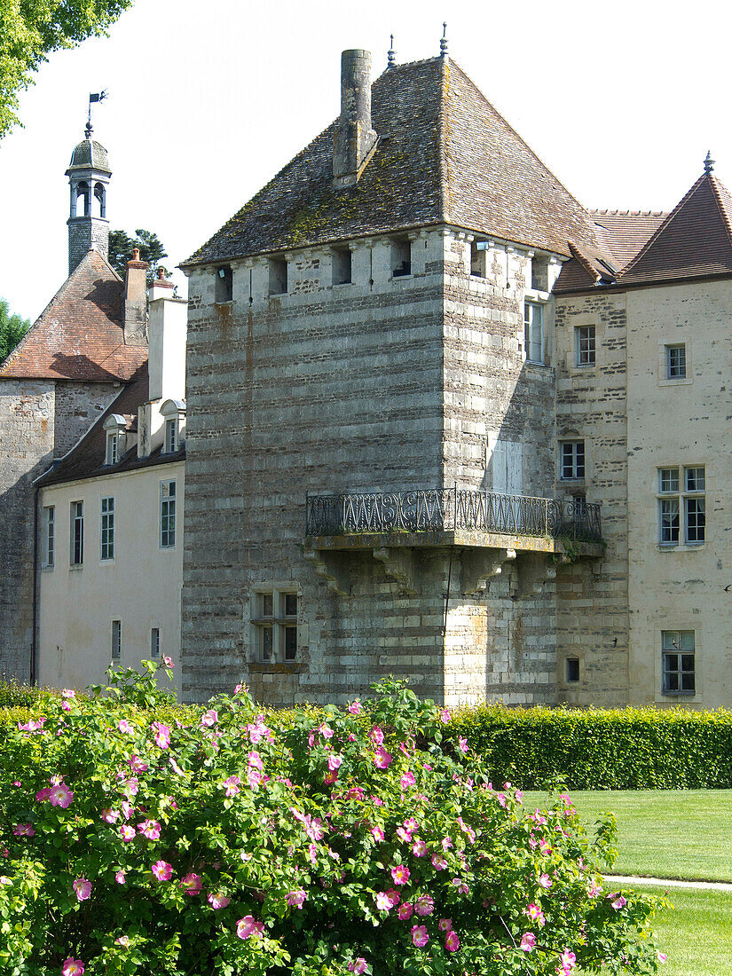 France, Burgundy, Côte d'Or, Époisses castle