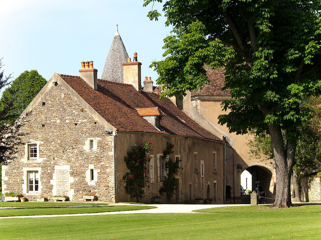 France, Burgundy, Côte d'Or, Époisses castle, courtyard
