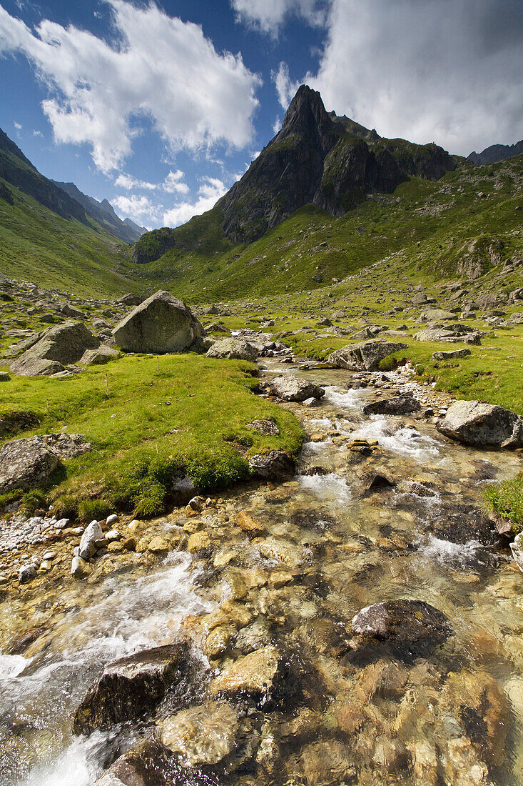 France, Hautes Pyrenees, Arrens river at the foot of the Labassa peak