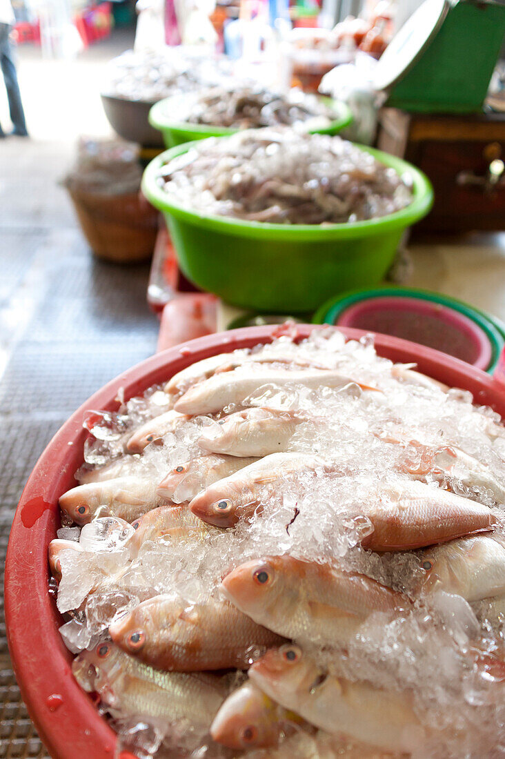 Fish on ice in a food market, Phnom Penh, Cambodia, Indochina, Southeast Asia, Asia