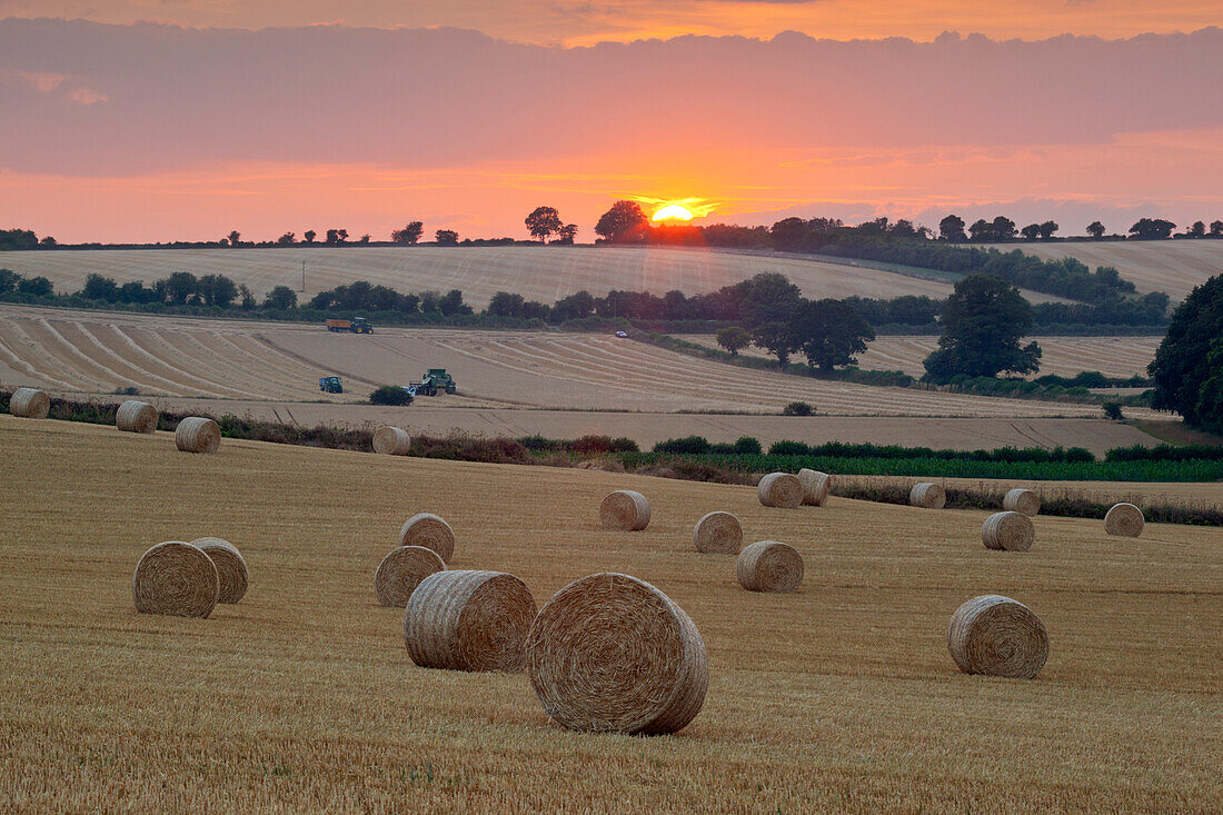 Round hay bales at harvest with sunset, Swinbrook, Cotswolds, Oxfordshire, England, United Kingdom, Europe