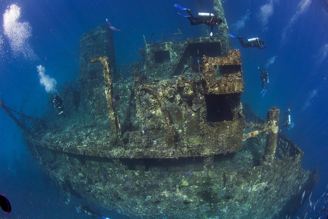 Diving the wreck of The Giannis D, Red Sea, Egypt, North Africa, Africa
