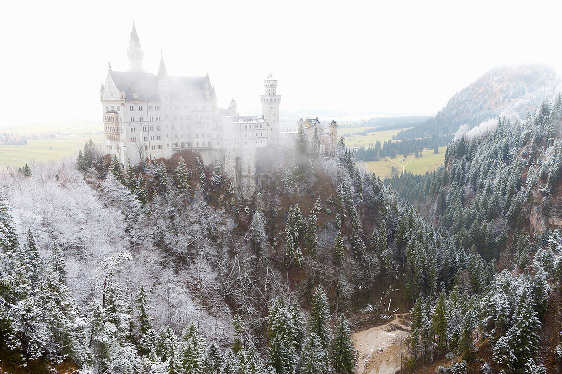 Neuschwanstein Castle in winter, Fussen, Bavaria, Germany, Europe