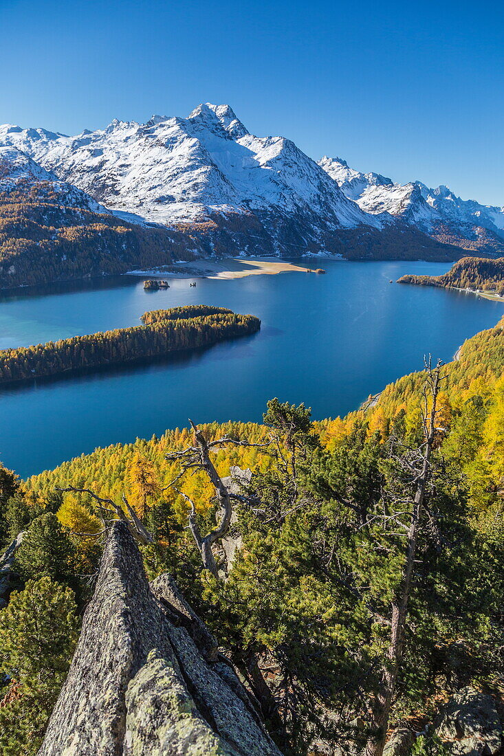 Lake Sils and Piz la Margna covered in snow from a rocky terrace above the Engadine woods near St. Moritz, Graubunden, Swiss Alps, Switzerland, Europe