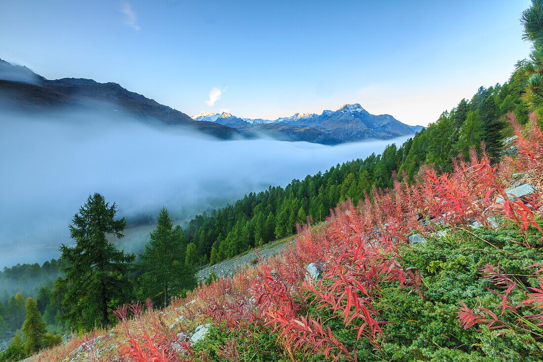 Autumn mist dissolving and revealing the top of Piz la Margna towering over the other peaks of Engadine, near St. Moritz, Graubunden, Switzerland, Europe