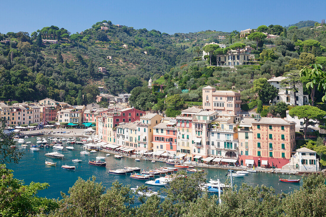 Portofino, Riviera di Levante, Province Genoa, Liguria, Italy, Europe