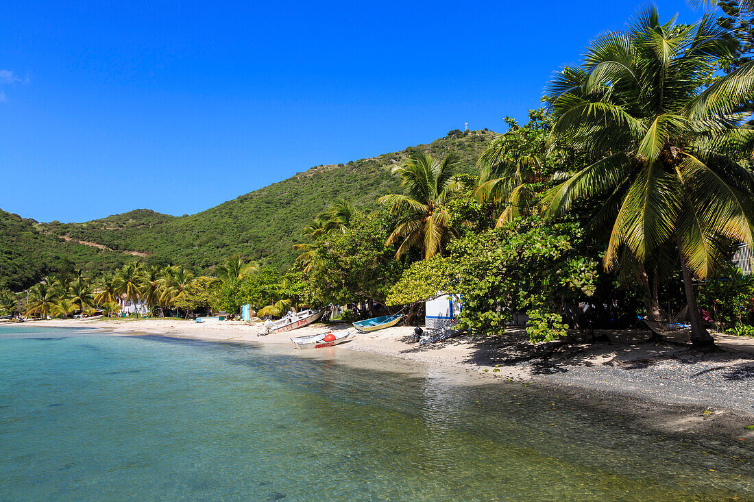 Clear water, beach, boats and palms, Great Harbour, Jost Van Dyke, British Virgin Islands, West Indies, Caribbean, Central America