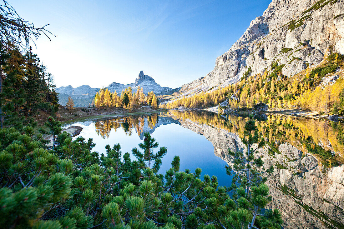 The peak of the Becco di Mezzodi, in the Dolomites, reflecting in the Federa lake, surrounded by yellow larches, Trentino-Alto Adige, Italy, Europe