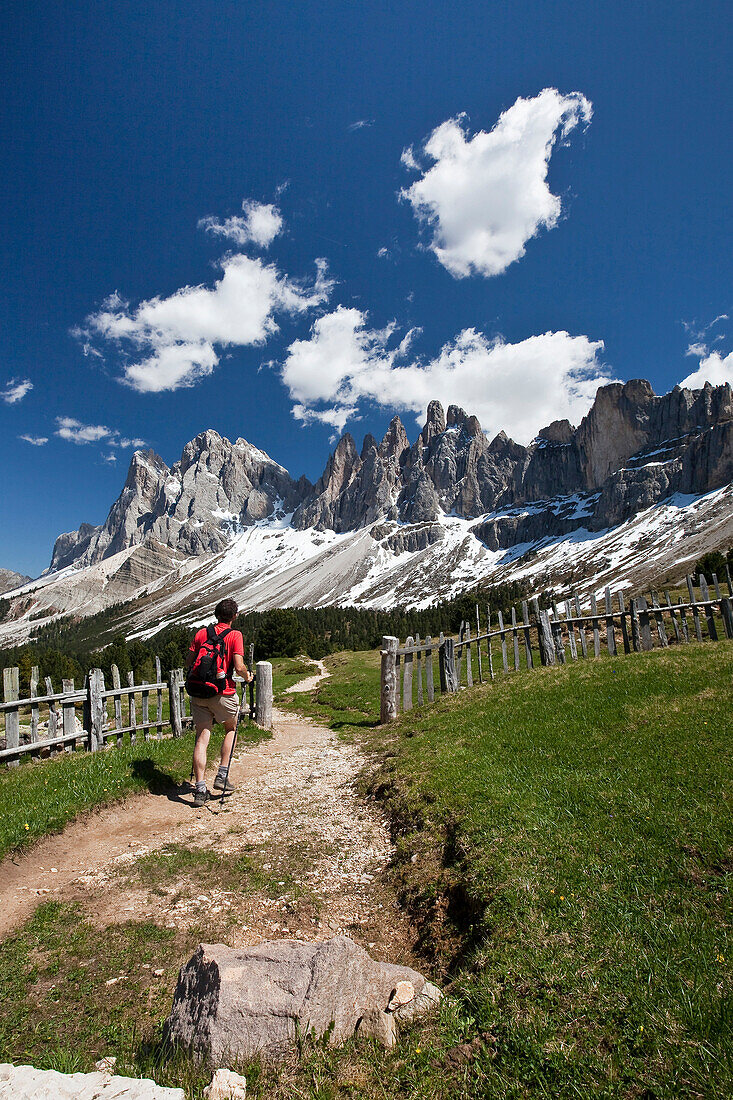 A hiker admiring the pinnacles of the Dolomite Massif in the Puez-Odle Nature Park, South Tyrol, Italy, Europe