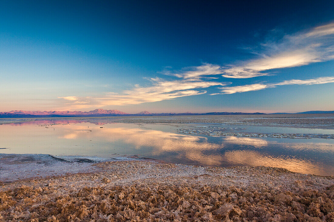 Pink clouds reflecting in a pool by the Chaxa Lagoon in the Atacama Desert, Chile, South America
