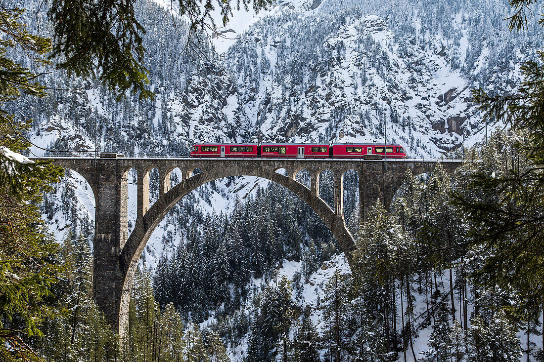 The Bernina Express crossing the Wiesen Viaduct in the Canton of Graubunden, Switzerland, Europe