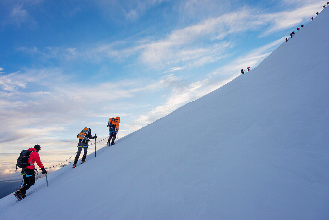 Climbers nearing the summit of Mont Blanc, 4810m, Chamonix, Rhone Alps, Haute Savoie, France, Europe