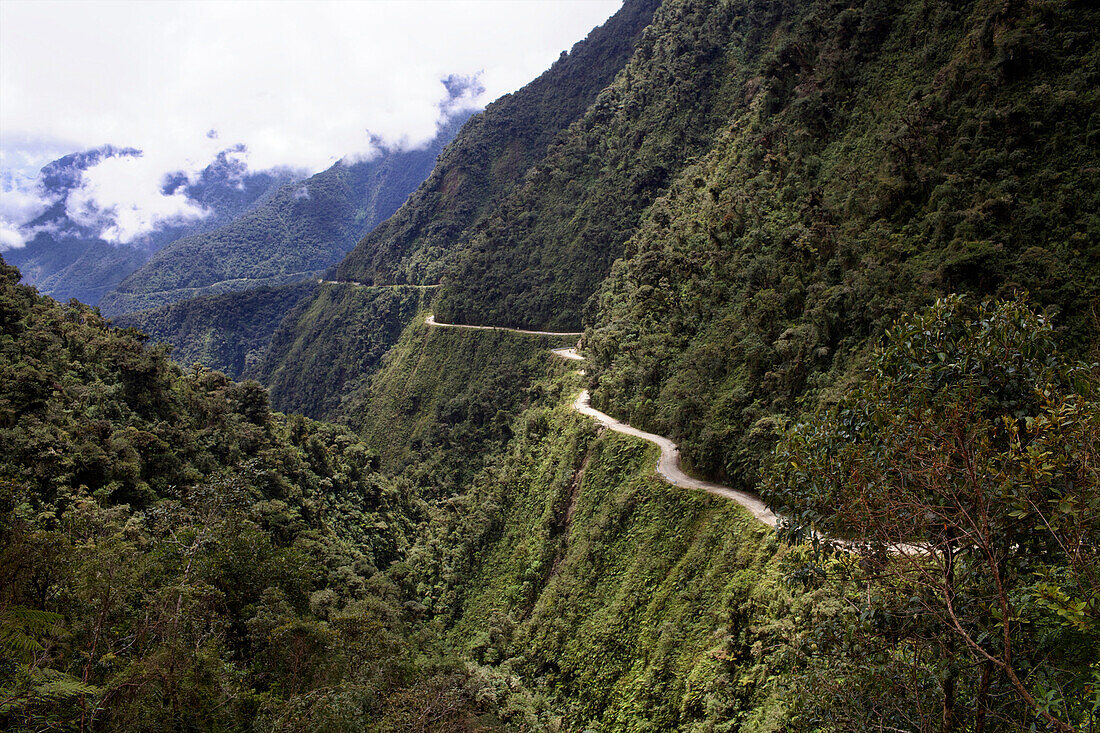 View of the El Camino della Muerte, Yungas Valley, Bolivia, South America