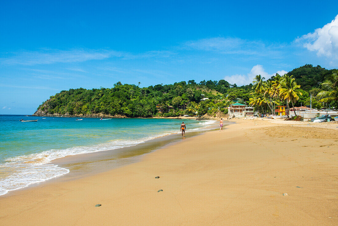 Beach of Castara,Tobago, Trinidad and Tobago, West Indies, Caribbean, Central America