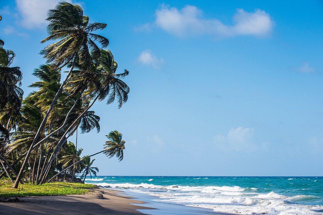 The beach of Sauteurs, Grenada, Windward Islands, West Indies, Caribbean, Central America